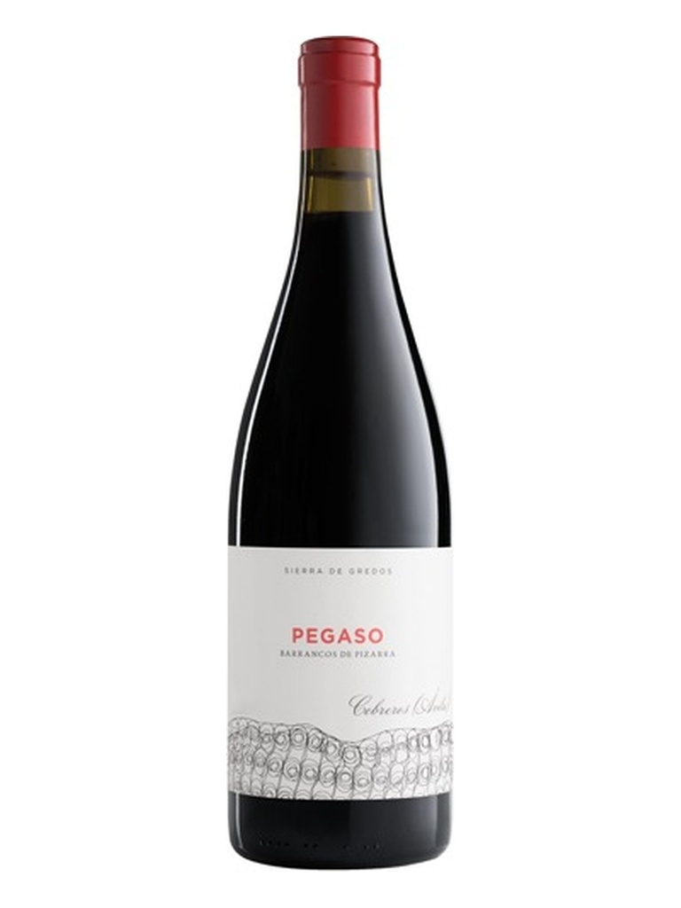 [8436037408021] Telmo Rodriguez Pegazo Pizarra 2010 0,75 lt