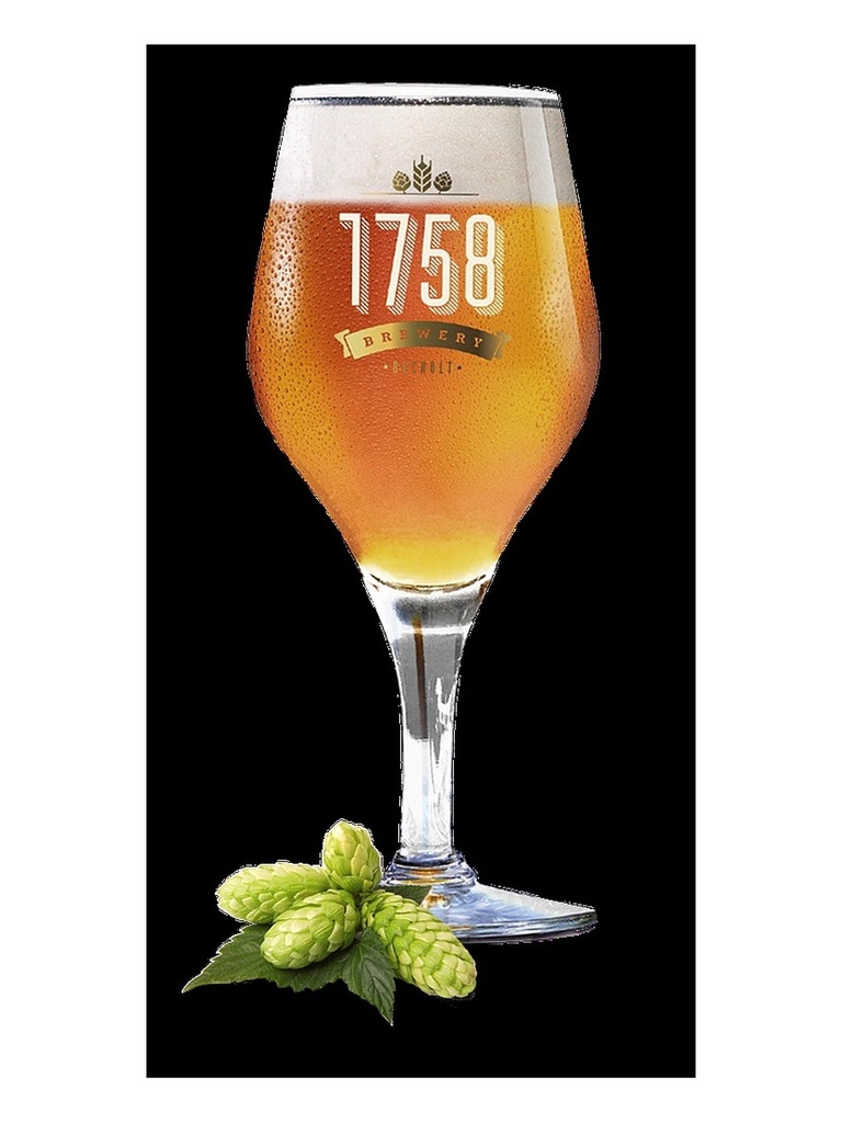 [54116116120031] 1758 Bar Copa Grabada Glass 1758 330ccx