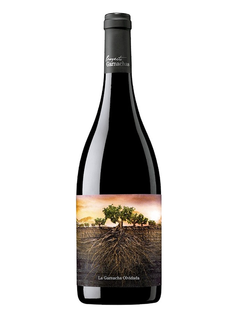 Garnacha Olvidada de Aragón 2013 0,75 lt